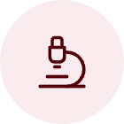 nep-ico-pesquisa