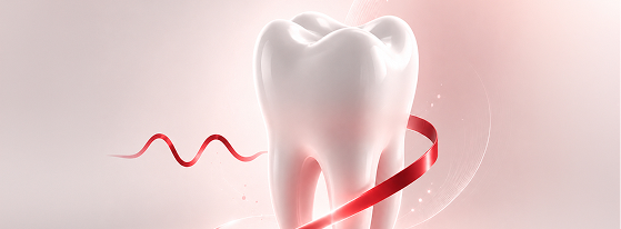 Odontologia